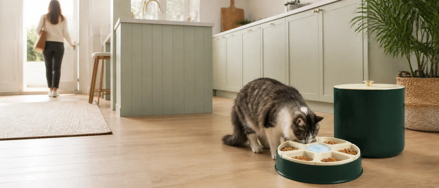Make Every Meal Arrive on Time — Even When You Are Away