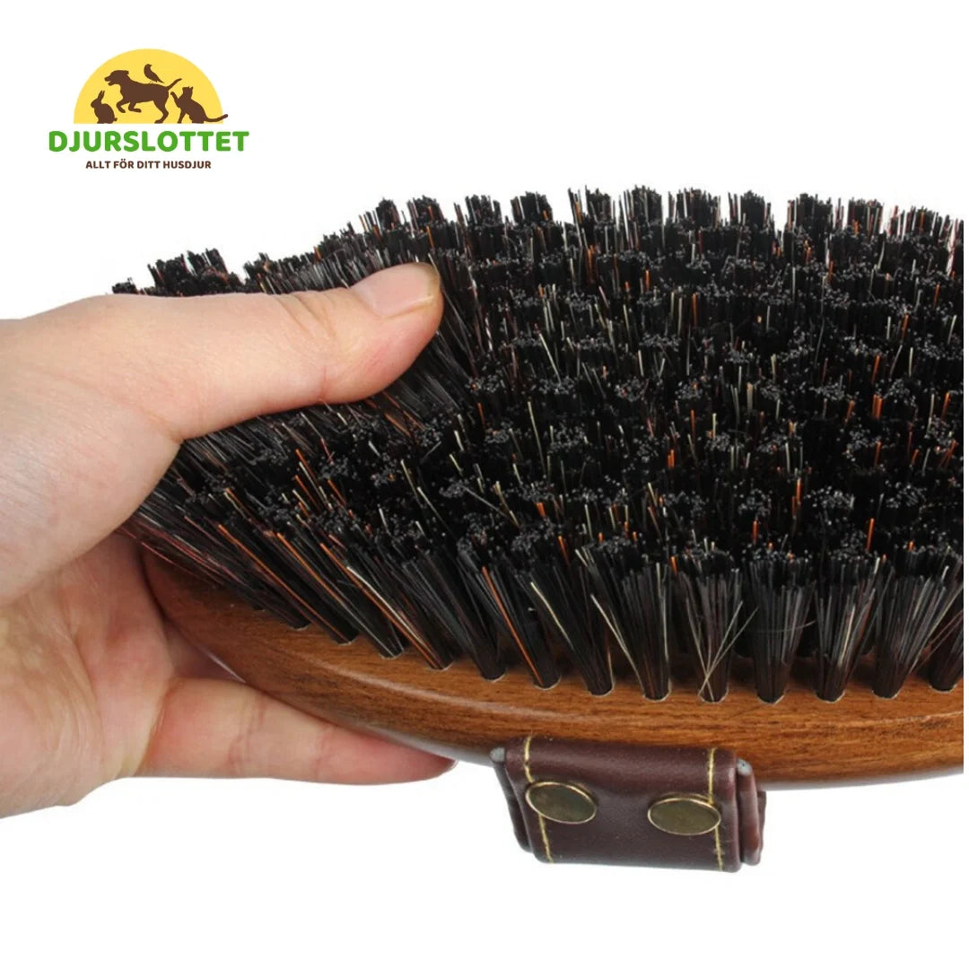 2-pack Premium Horse Brush in Wood Dense bristles - Petifo