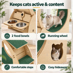 Active cat using the 5-in-1 cat wheel and tree