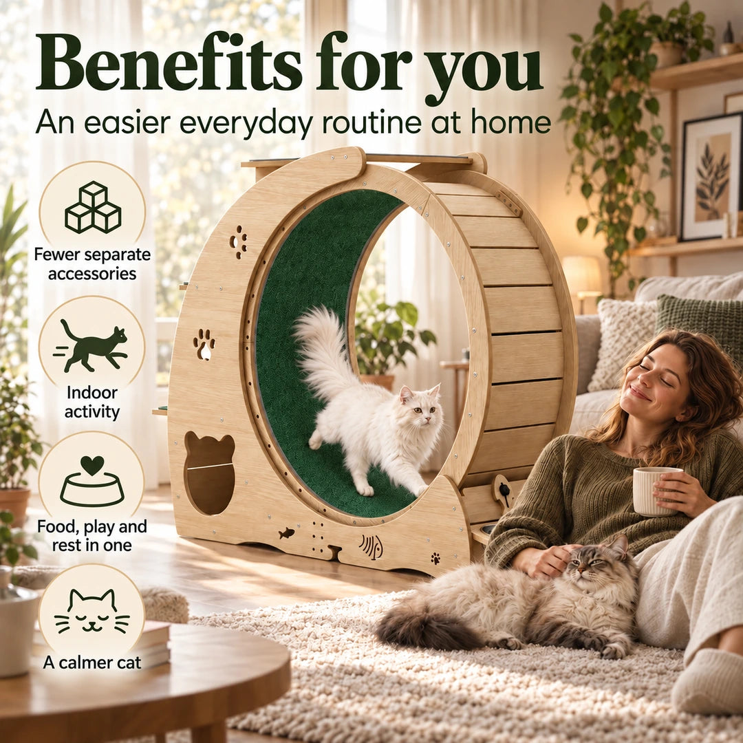 5-in-1 cat wheel and tree benefits for indoor cat owners