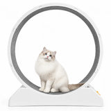 Kattenloopwiel