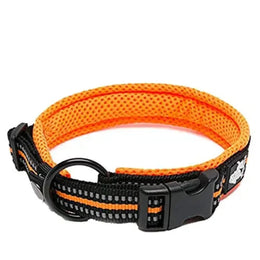 Oranje