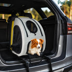 A small dog sitting comfortably inside the Petifo pet carrier, which is securely installed in the back seat of a car.
