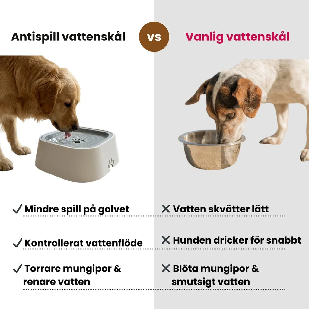 Anti-Spill Water Bowl Where, other- Petifo