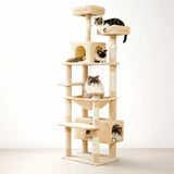 Hoge kattenbomen