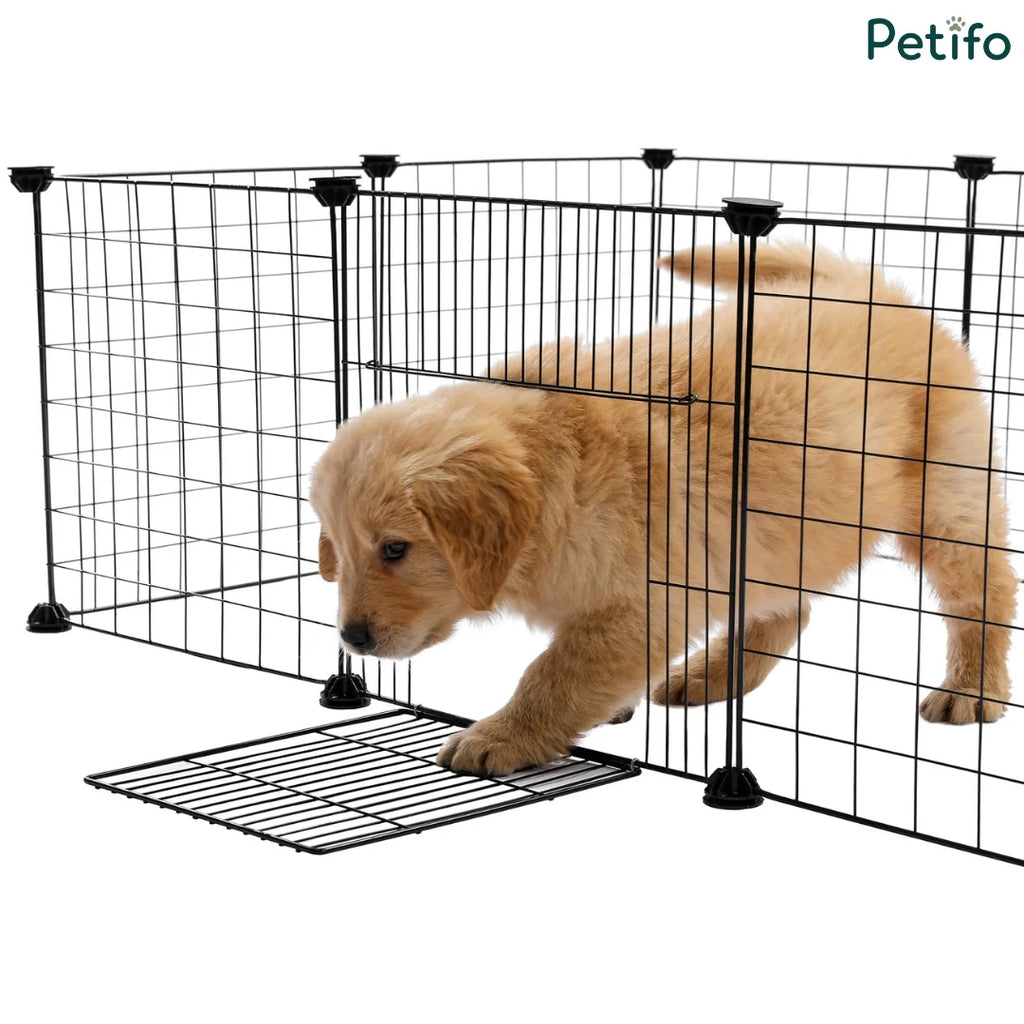 Golden retriever puppy exploring a Petifo black wire dog playpen with an open door panel.