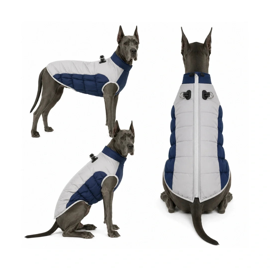Nordvarm Winter Jacket in dark blue on a dog – Petifo