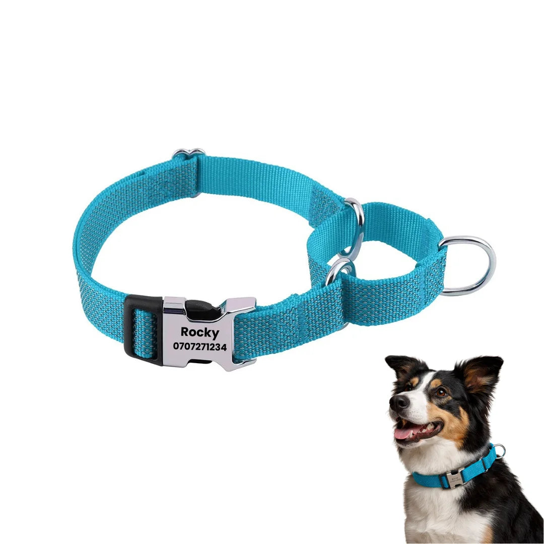 Bright blue customized martingale dog collar featuring an engraved metal buckle and a collie.