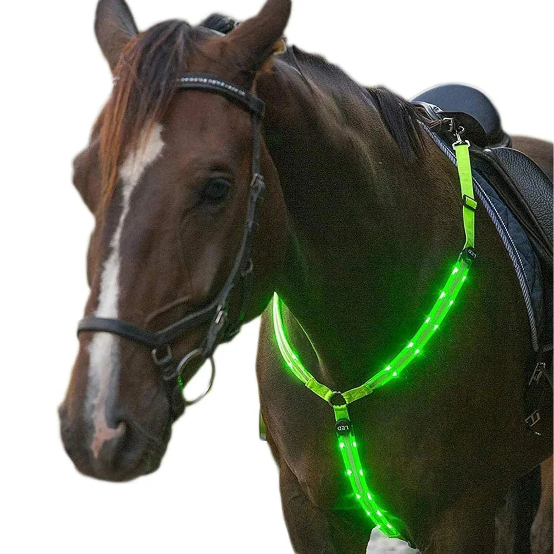 Dark horse wearing a bright green LED light-up breast collar for safety.