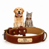 Tagley leren halsband met gepersonaliseerde gravure