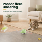CatChase suits several surfaces - Petifo