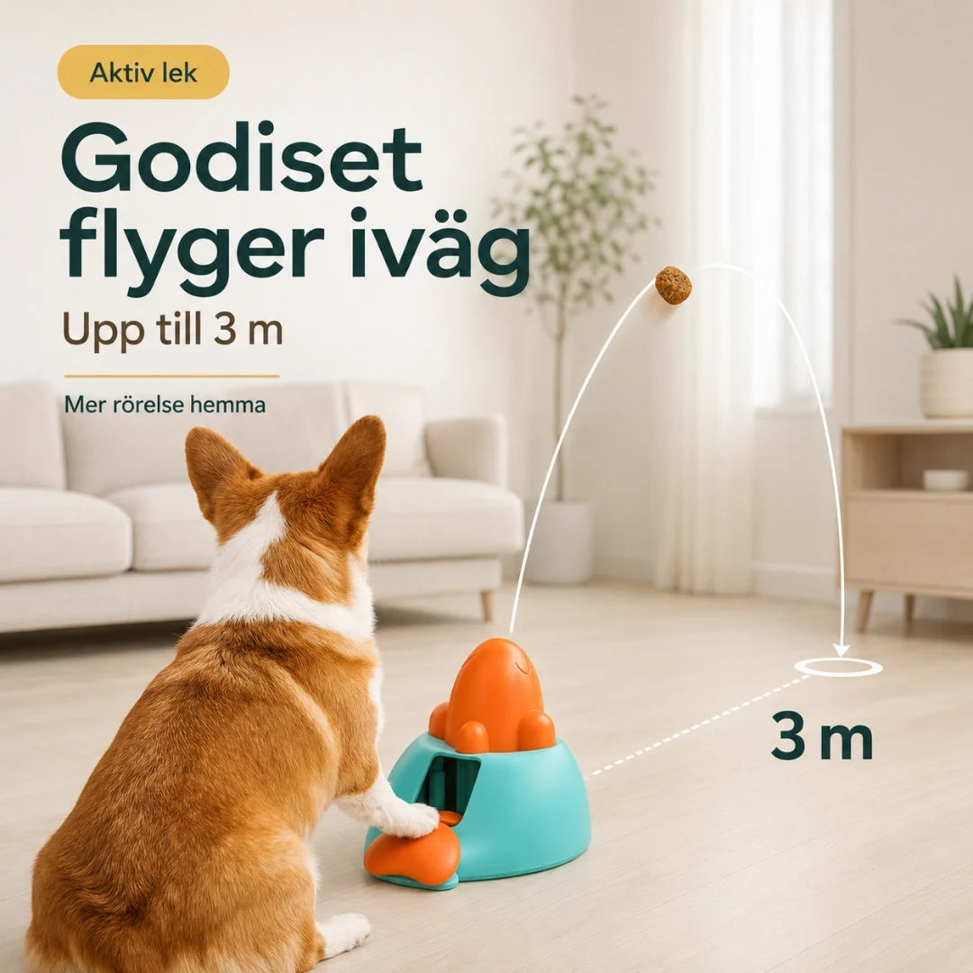 Clicker treat launcher shoots the treat up to 3 metres - Petifo