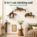 5-in-1 Petifo cat climbing wall, providing a complete system for climbing, relaxing, and scratching.