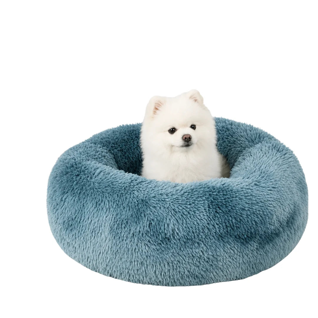 Fluffy white Pomeranian sitting cozily inside a deep blue calming pet bed.
