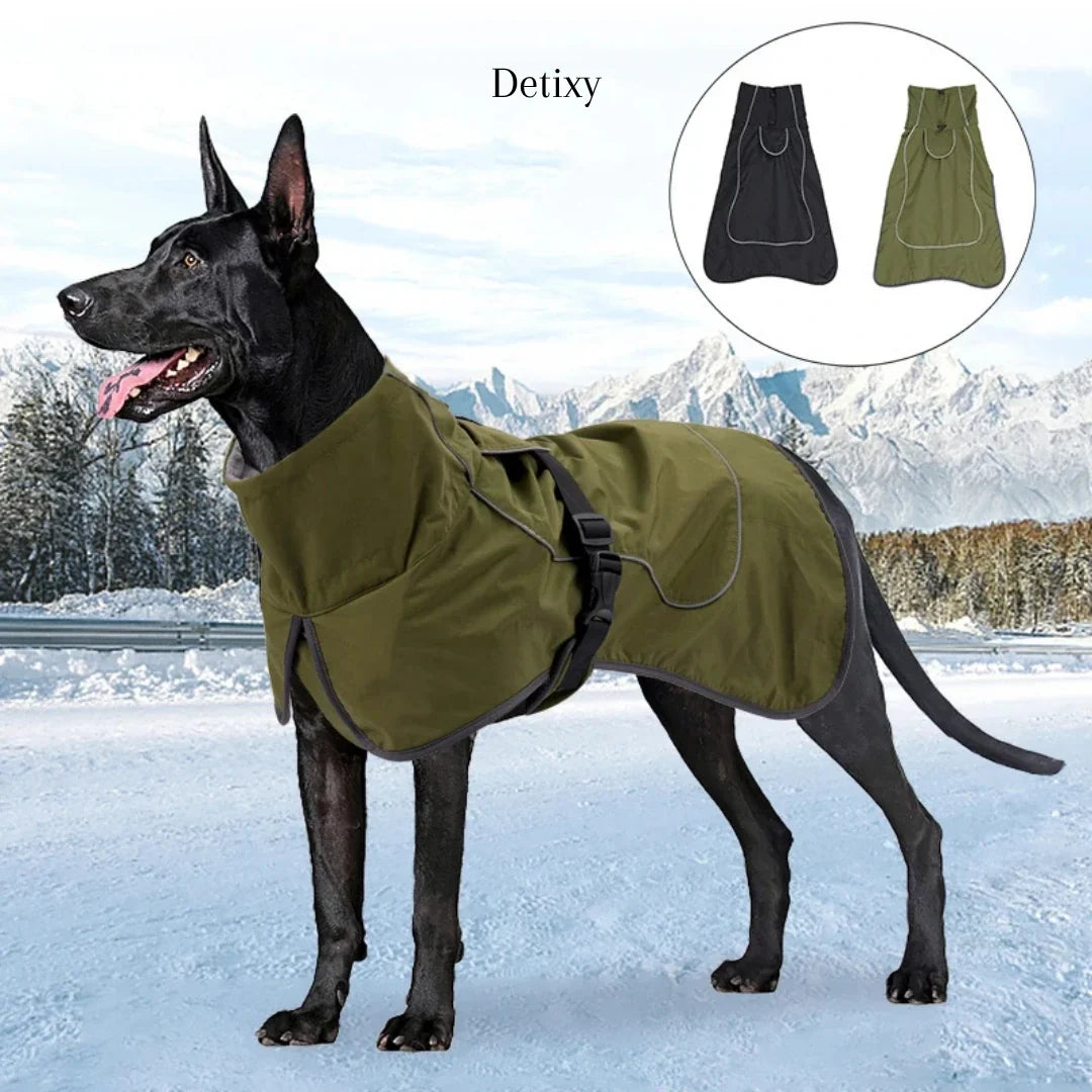 Detixy Rain Coat Colours - Petifo