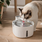 Detixy Wireless Water Fountain - Petifo