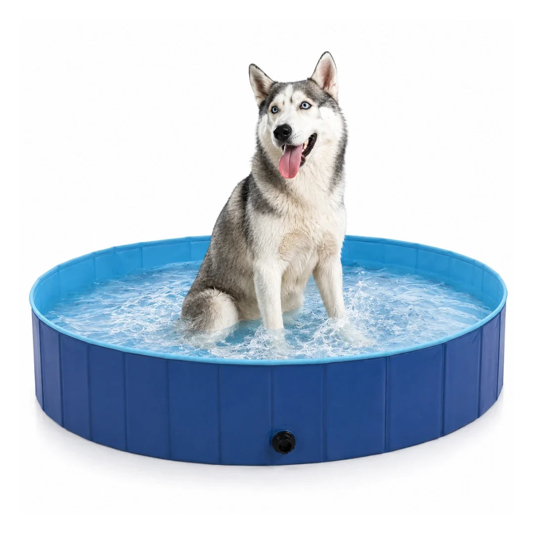 DoggyDip Dog Pool - Petifo
