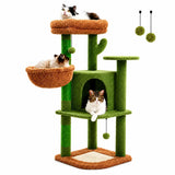 Kattenboom in cactusvorm