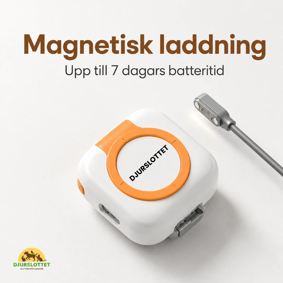 Petracka GPS Tracker magnetic charging - Petifo