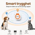 Petracka GPS Tracker safe tracking without subscription - Petifo