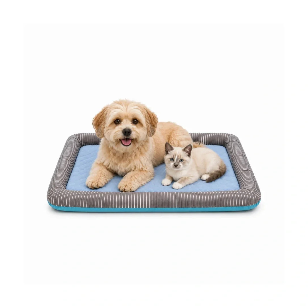 A fluffy small dog and a kitten lying together on a blue and grey striped cooling pet bed against a white background.