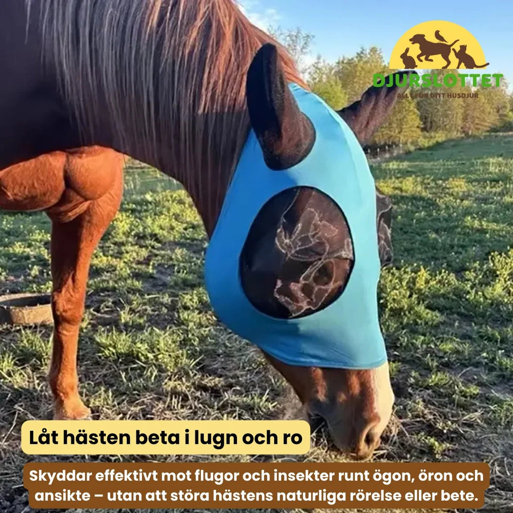 Horse mask with ear protection Let the horse graze in peace and quiet - Petifo
