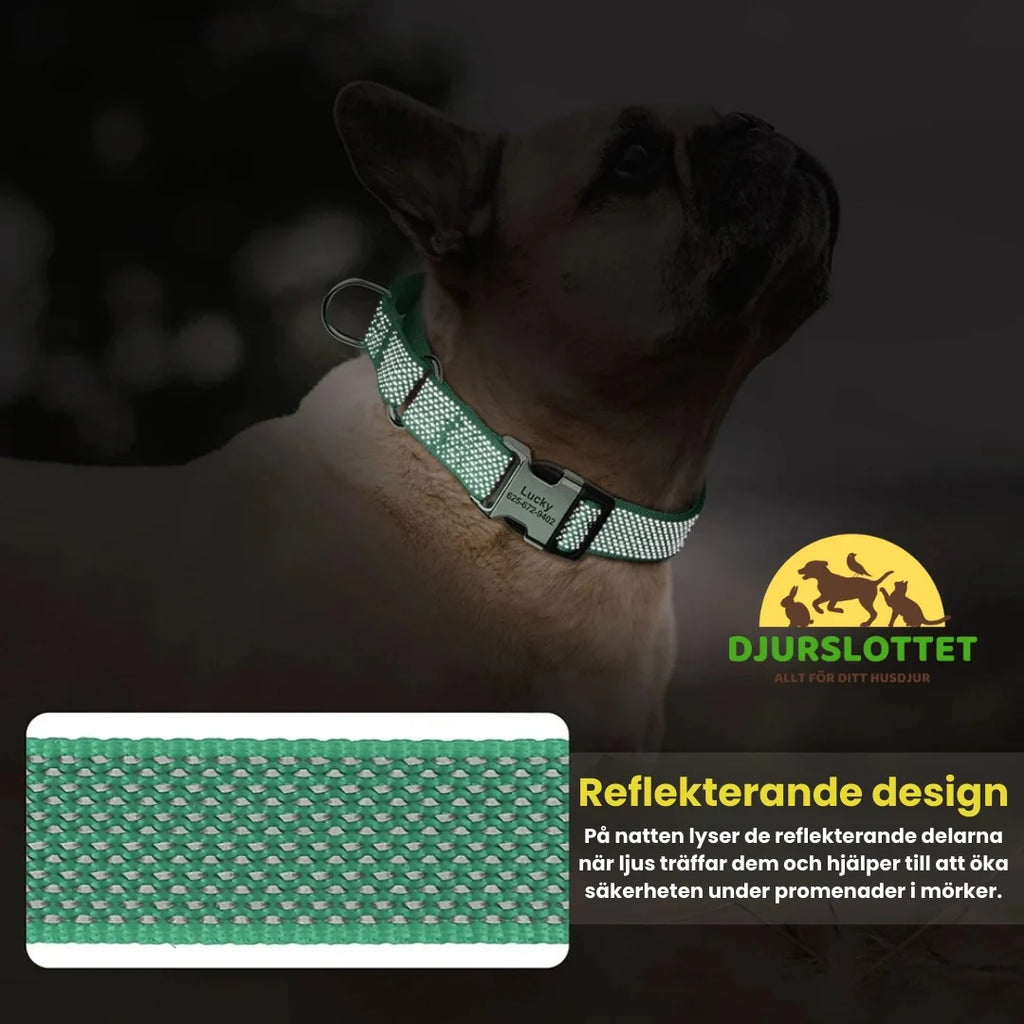 Semi-choke Collar with personalised engraving Reflective design - Petifo