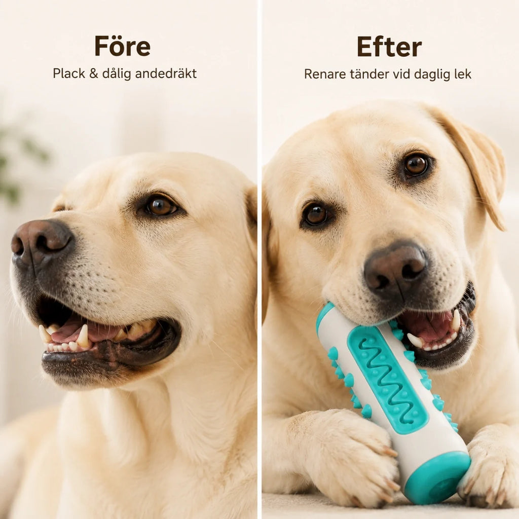 Dog Rubber vs after - Petifo