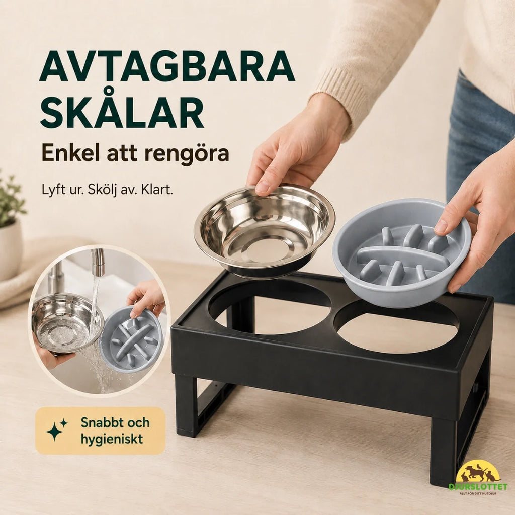 Adjustable Raised Bowl removable Petifo
