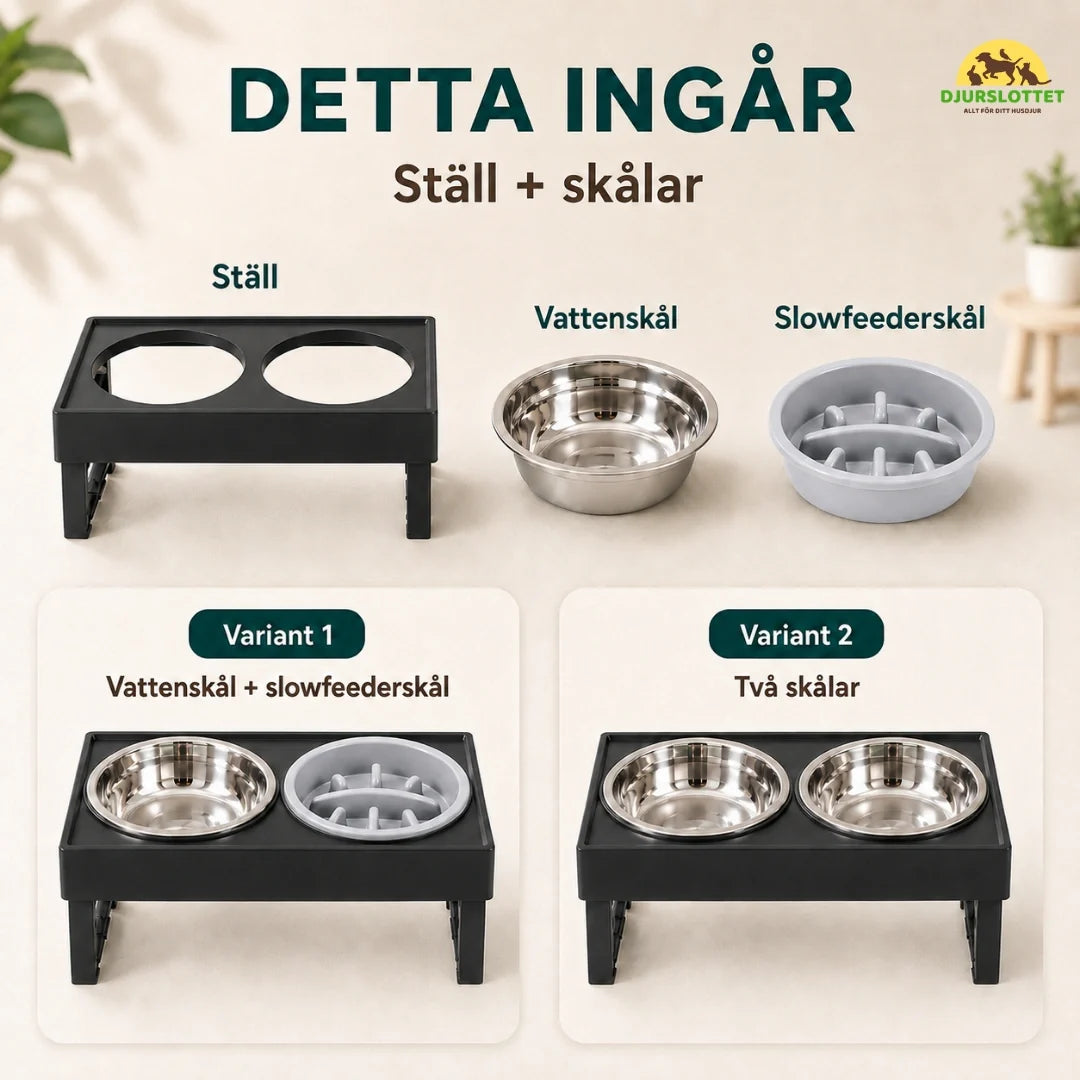 Adjustable Raised Bowl this is included - Petifo