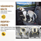 Heavy-Duty Car Seat Belt for Pets - Petifo