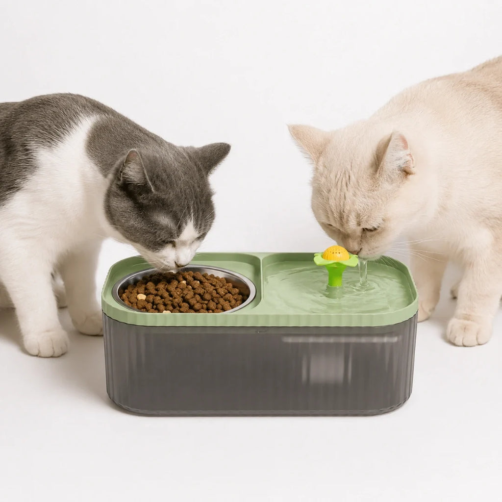 MealStream Water Fountain with Food Bowl - Petifo