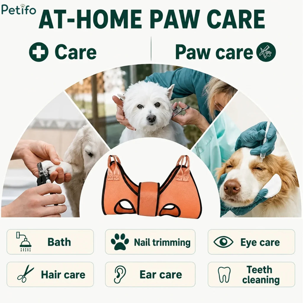 Overview of Petifo at-home paw care showing the grooming hammock and icons for bath, nail trimming, eye care, hair care, ear care, and teeth cleaning.