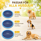 Pawsplash Sprinkler pool for dogs  all pets - Petifo