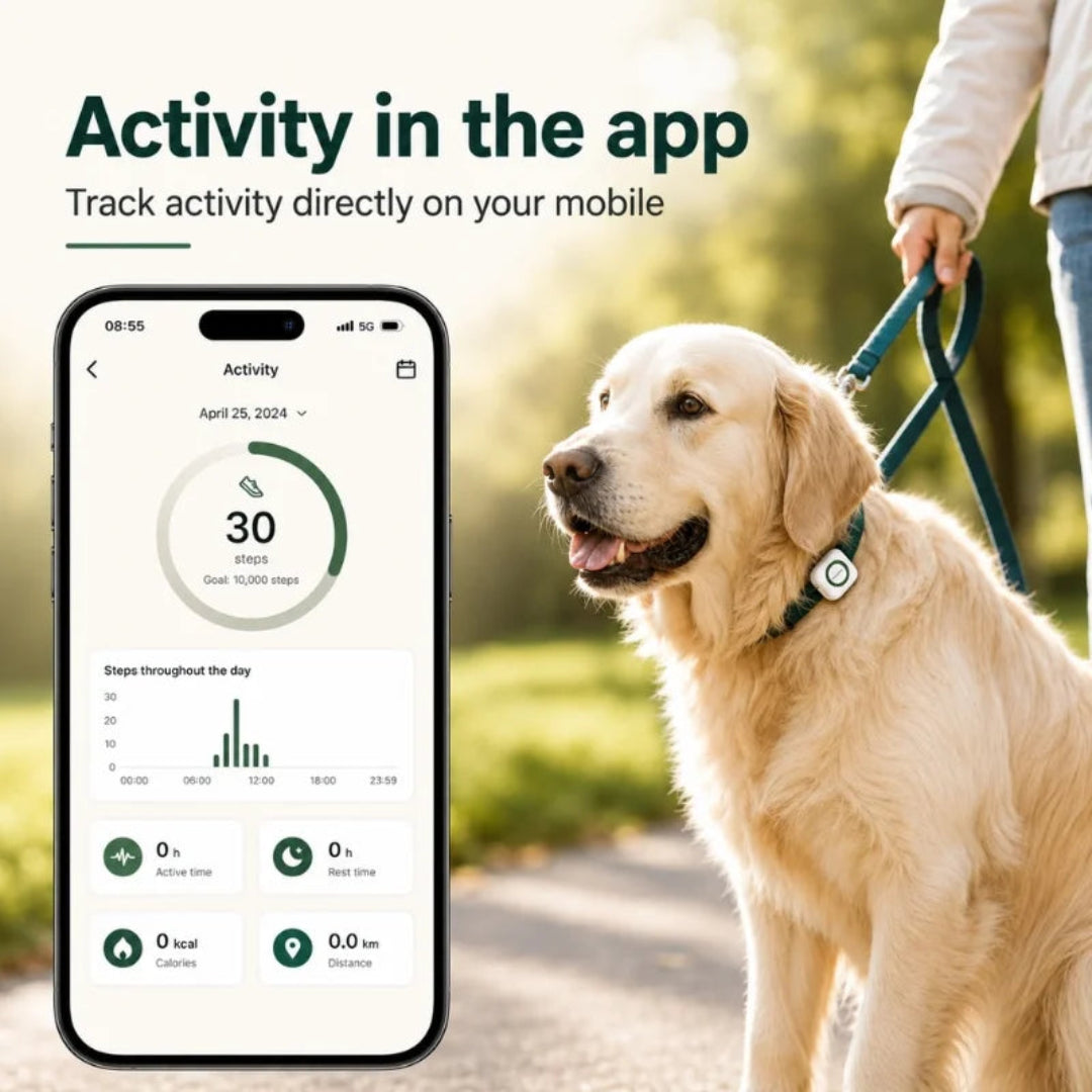 Pet activity tracking app showing steps location and health monitoring Petifo