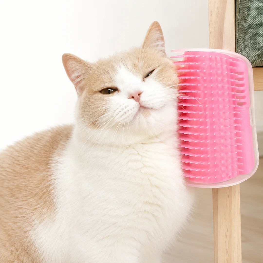Pink silicone cat self-grooming brush and massaging tool on a clean white surface.