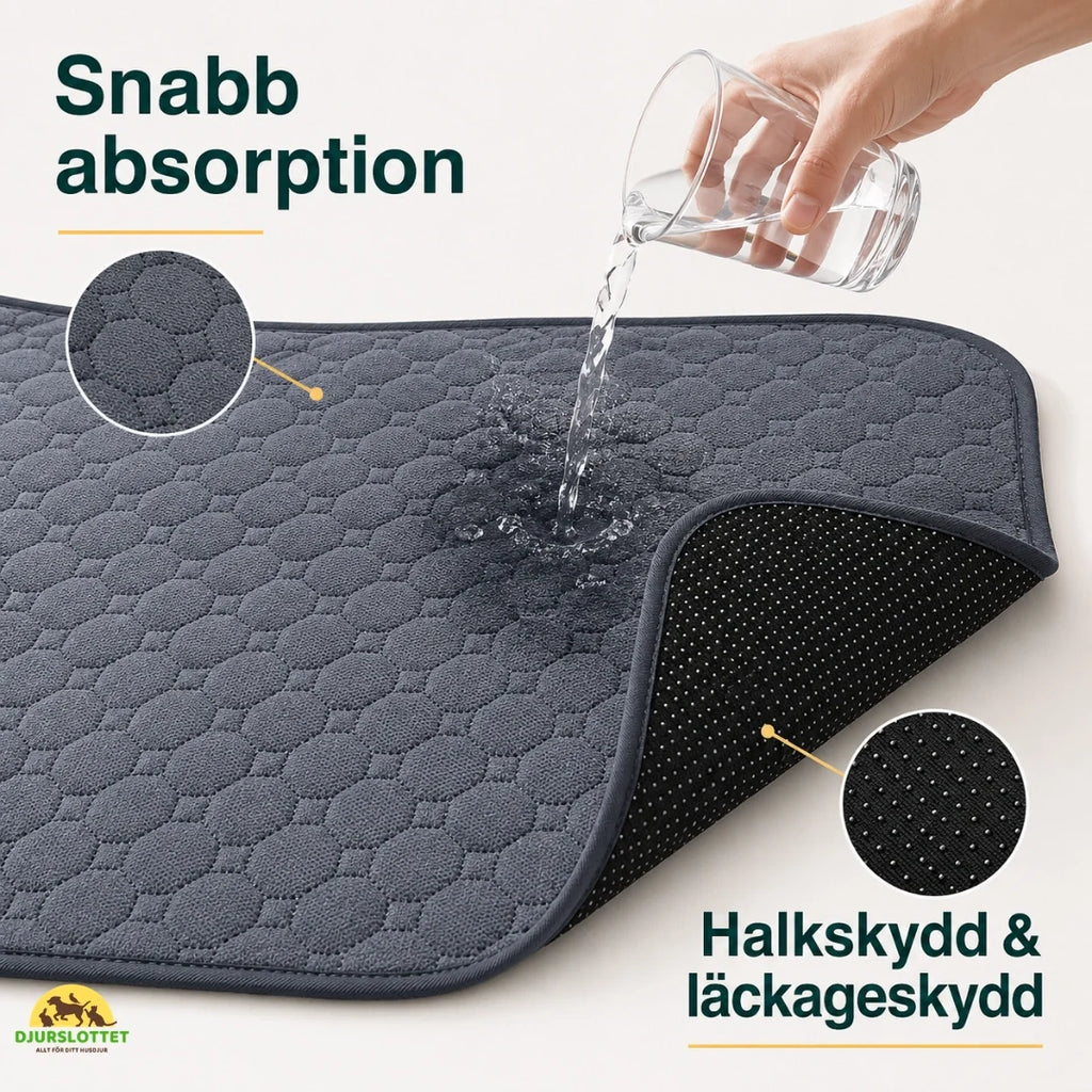 PupClean Washable Puppy Pad fast absorption - Petifo