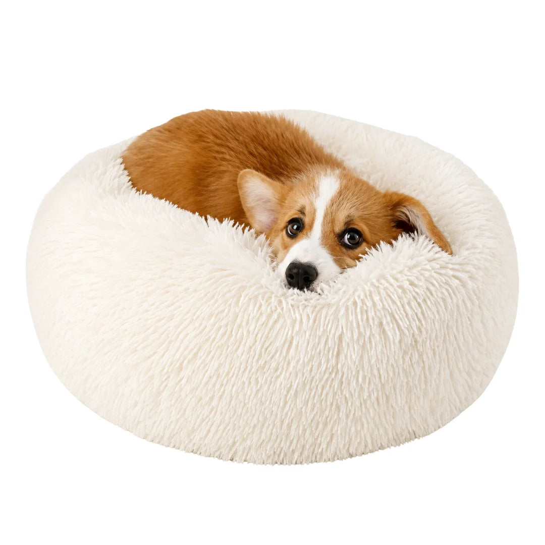 Corgi puppy curled up and resting inside a pure white plush calming bed.