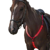 Oplaadbare led-borstplaat voor paarden