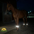 Reflective Leg Protection Horse Flexible material -Petifo