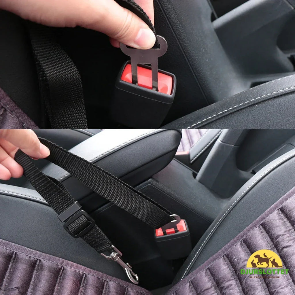 Safety Belt for Pets Compatible with All Car Types-Petifo