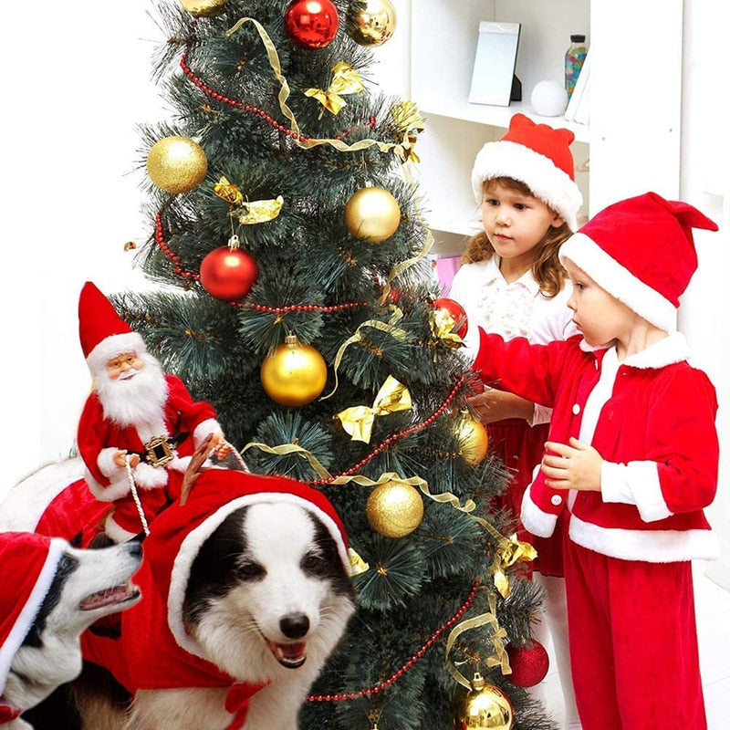 Father Christmas Costume for Dogs and Cats - Petifo