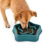 Slowfeeder Pro