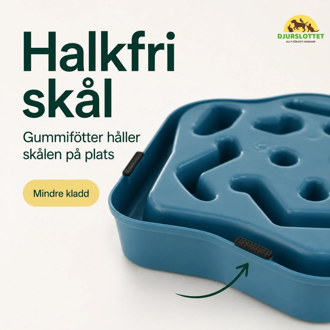 Slowfeeder Pro non-slip bowl - Petifo