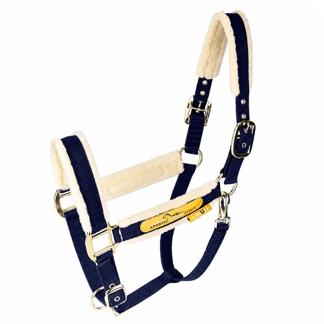 Navy blue equestrian horse halter featuring soft padding and gold-tone hardware.