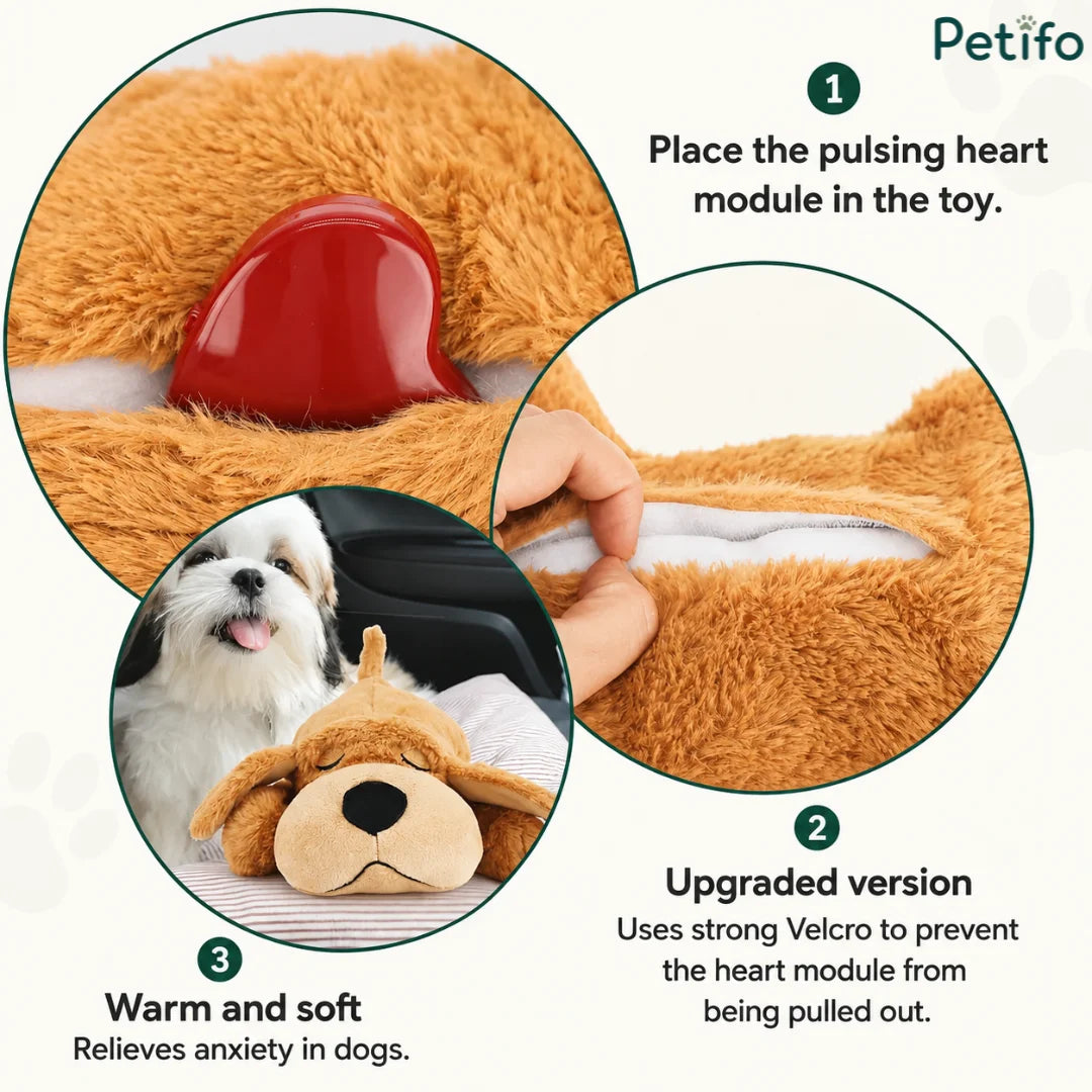 Step-by-step instruction guide demonstrating how to insert the pulsing heart module into the soft dog anxiety toy using secure Velcro.