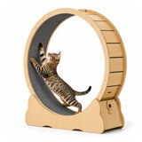 Tassiloop houten bewegingstol voor katten