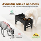 UpFeed Pro Raised Slow Feeder & Anti-Spill Food Bowl Relieves neck and throat - Petifo