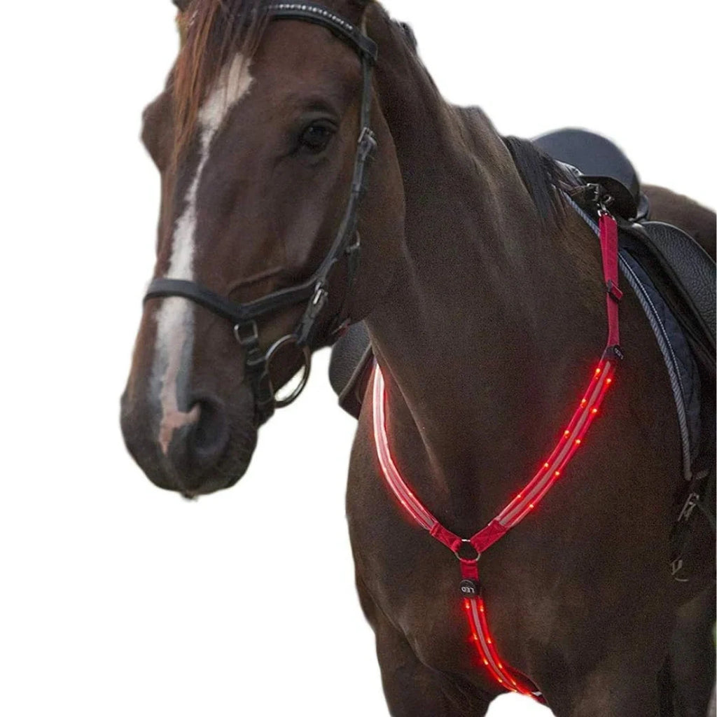 Rechargeable LED breastplate for horses Red - Petifo