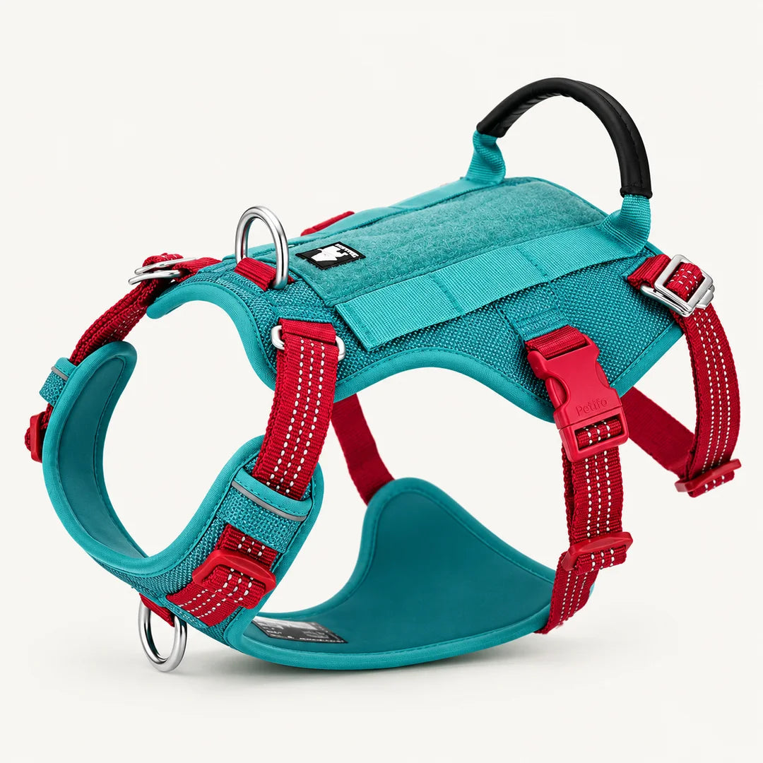 This vibrant blue and pink dog harness combines durable construction with reflective straps for increased visibility during daily walks.